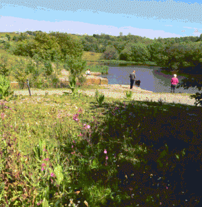 Jackhouse Reservoir