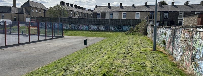 Grass verge with terraced houses in the background