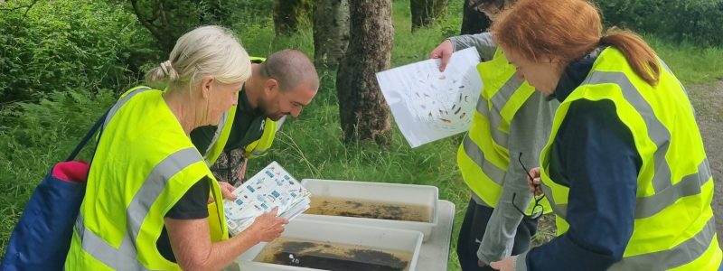People in hi-vis jackets looking at specimens and identification charts as part of a river invertebrate study.