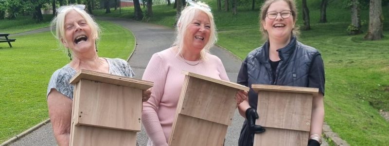 Three volunteers holding bat boxes.