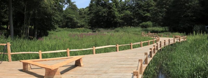 A raised wooden walkway over a wetland area.