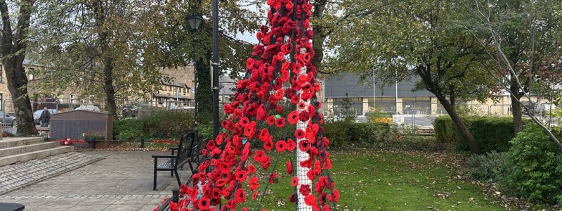 A poppy display