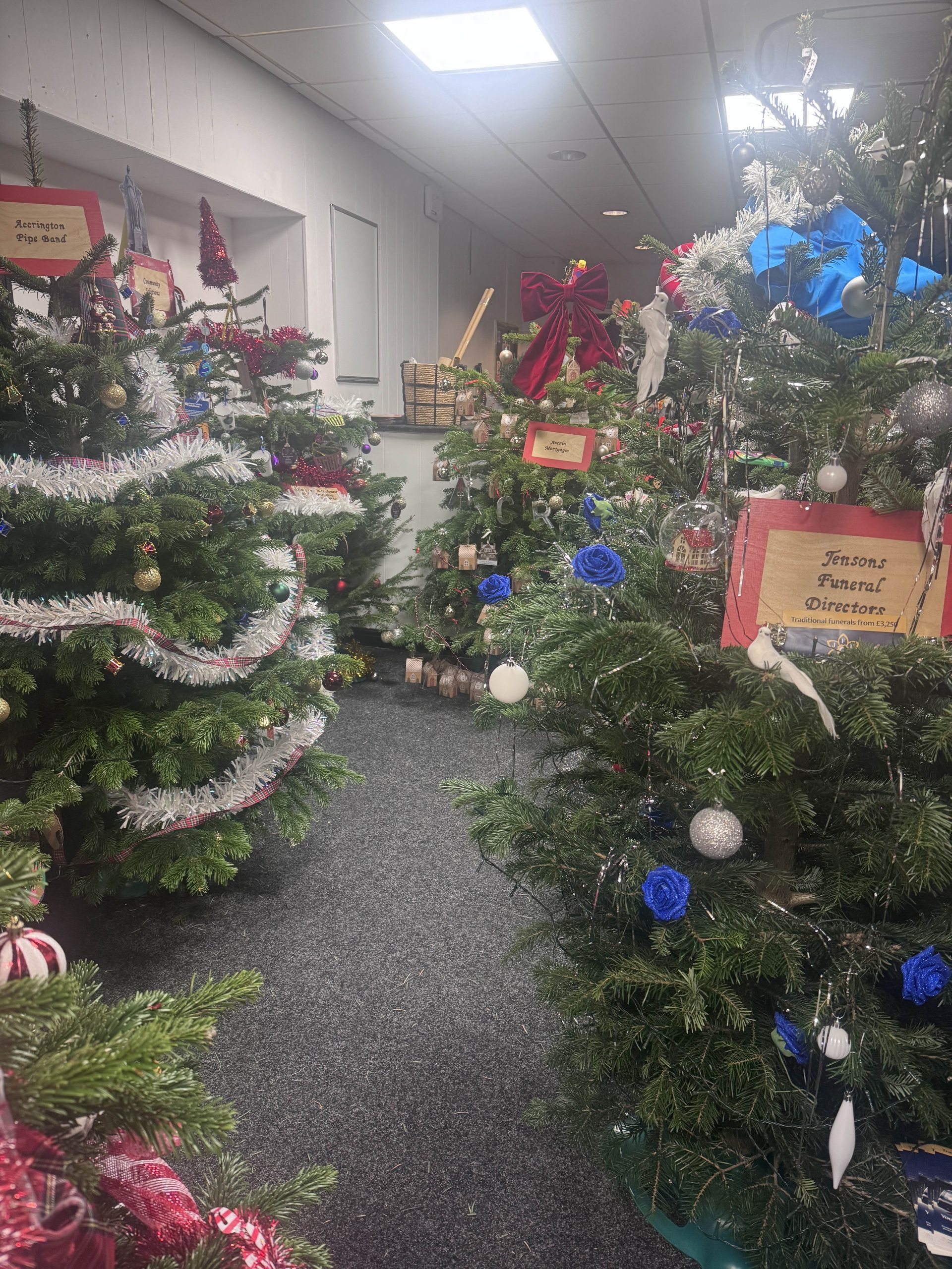 Christmas Trees