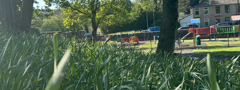Park with play area in background