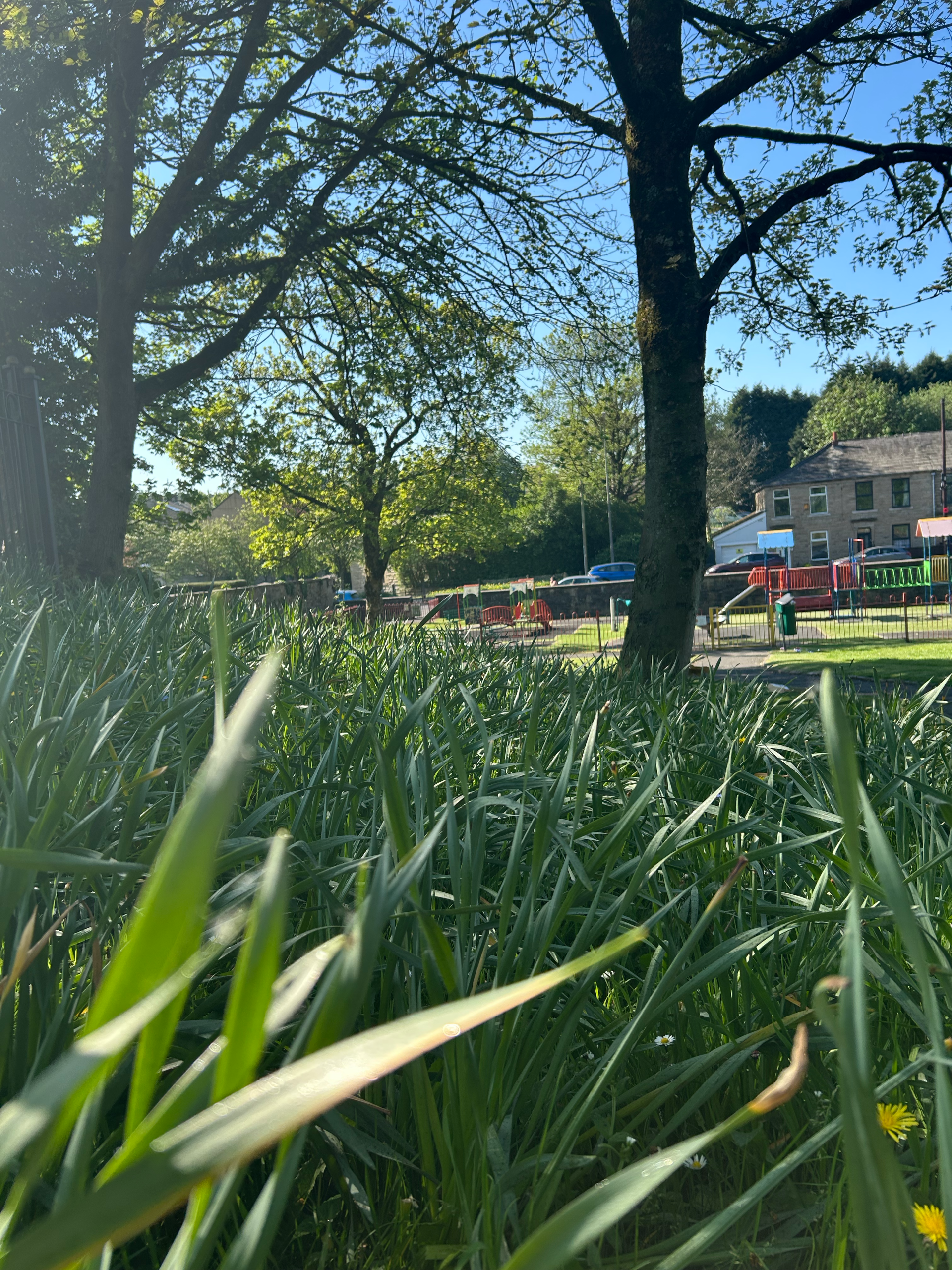 Park with play area in background