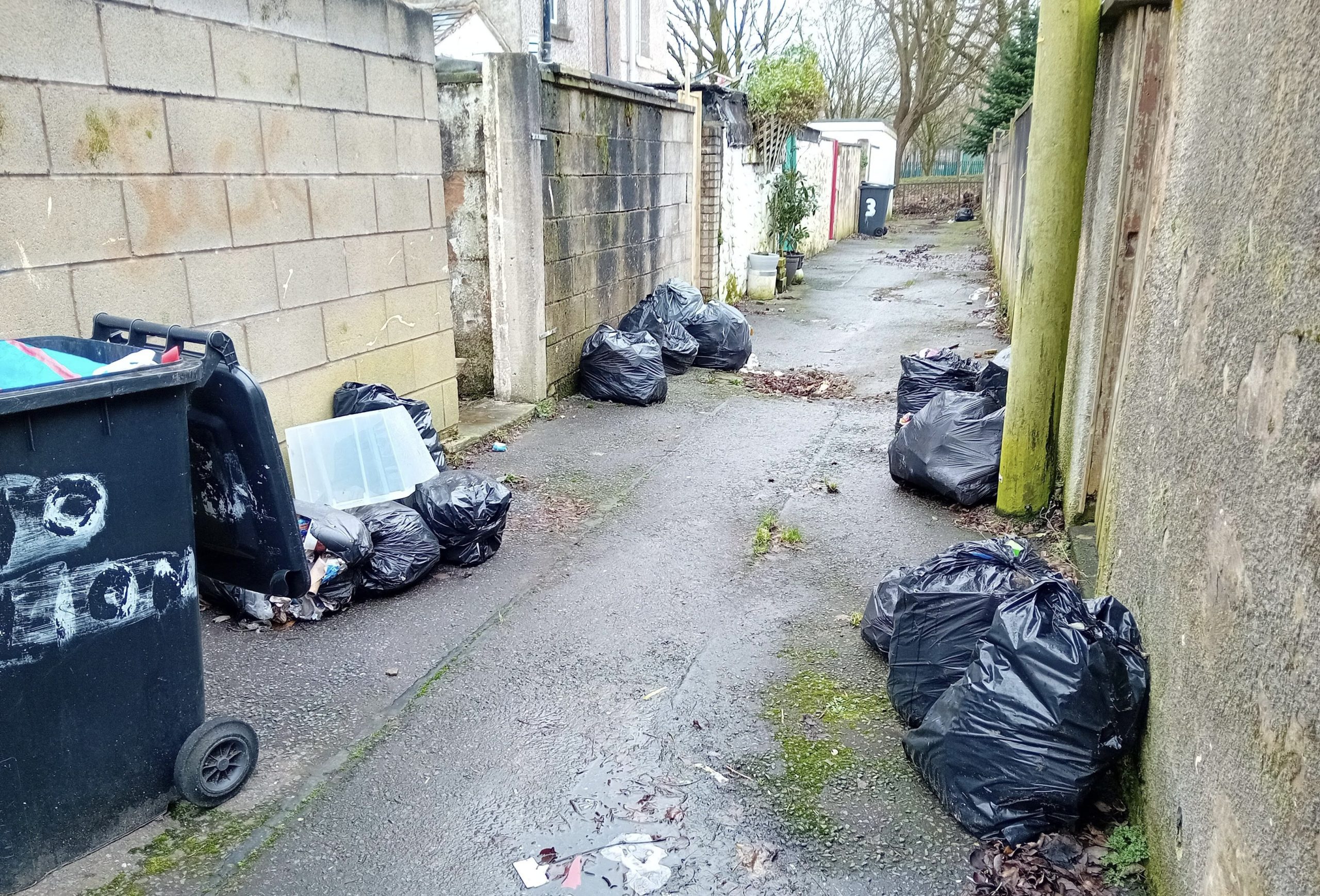 Bin bags which have been fly tipped on a back alley